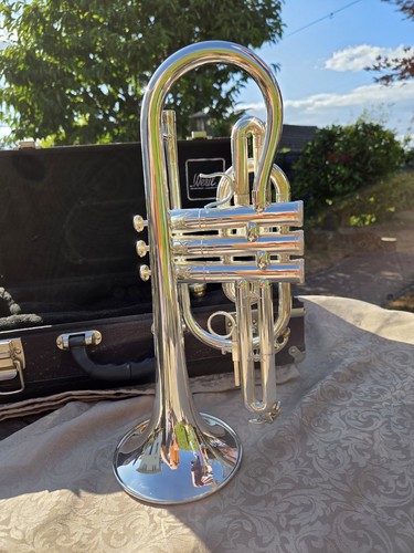 Cornet with case - with, accessories