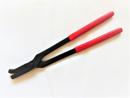 Equine farriers tools - equine,