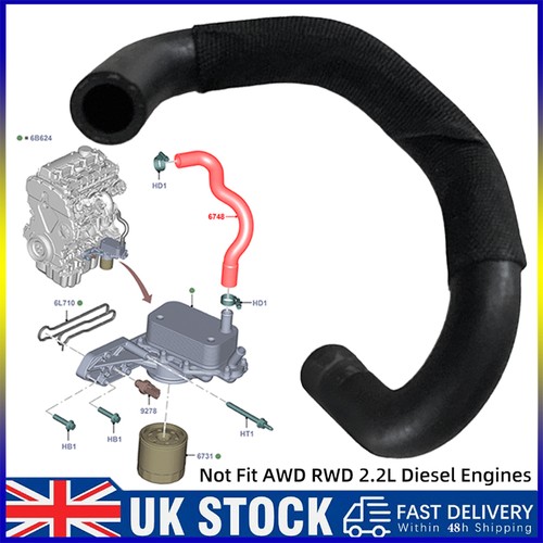 Oil cooler pipe hose - oil,
