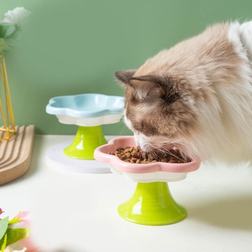 Ceramic raised cat - raised, bowl