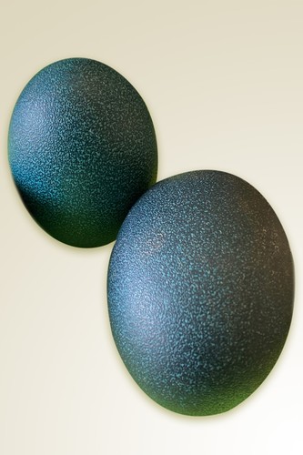 Blown emu eggs - blown,