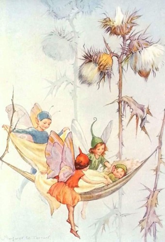 Fairy thistledown 1925 art - fairy,