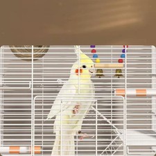 Metal Wire Bird Cage Birdcage