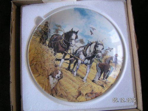 Danbury mint bone china - mint,