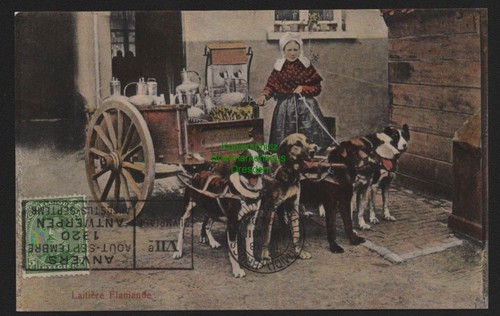51918 postcard laitiere - 51918,