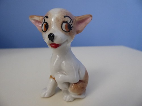 Pepi the chihuahua bengo - chihuahua, (bengo