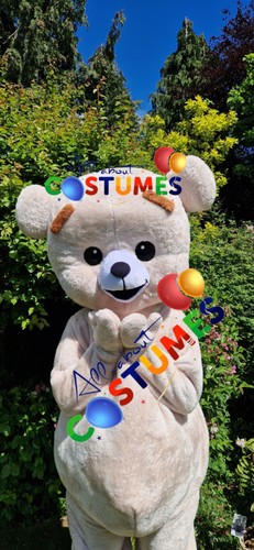 Hire premium teddy bear deluxe - hire,