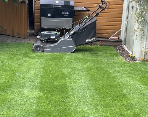 Hayter harrier pro - hayter,
