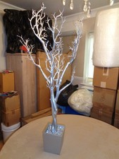 120 cm. Silver Manzanita Tree for Weddings & Parties
