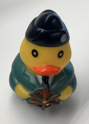 Collectible rubber duck sea - duck,