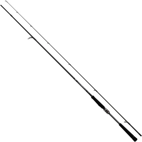 Daiwa sea bass rod - sea,