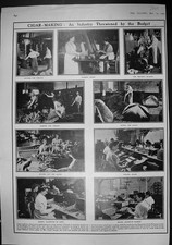 Old 1909 Cigar Making Industry