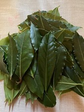 Bay Leaves Fresh Organic UK