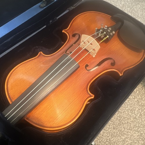 Rainbow violin max jorge - violin,