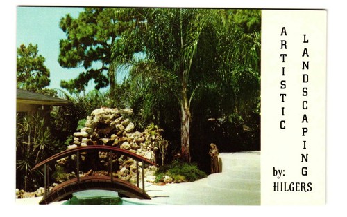 Hilger nursery inc largo - hilger's, fl