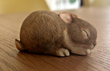 Vintage Sleeping Bunny Rabbit