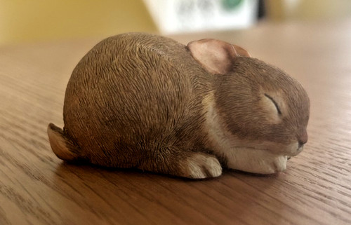Vintage sleeping bunny - sleeping,