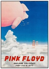 The Best Rock Concert