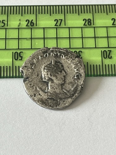 Salonina silver - salonina,