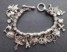 Charm Bracelet - over 20 charms mounted on sliding tube links (8" / 20 cm)
