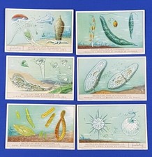 Set of 6 Liebig Cards WATER