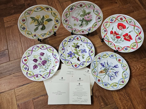 Wedgwood the flower - flower, of