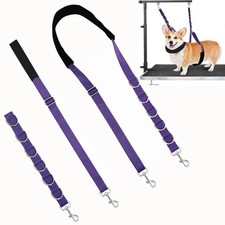 ASOCEA Dog Grooming Belly