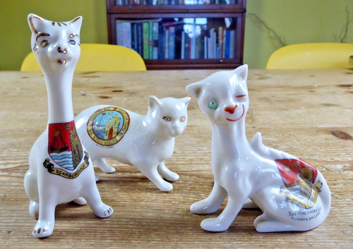 Crested china cats - crested,