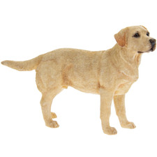 Golden labrador standing - golden,