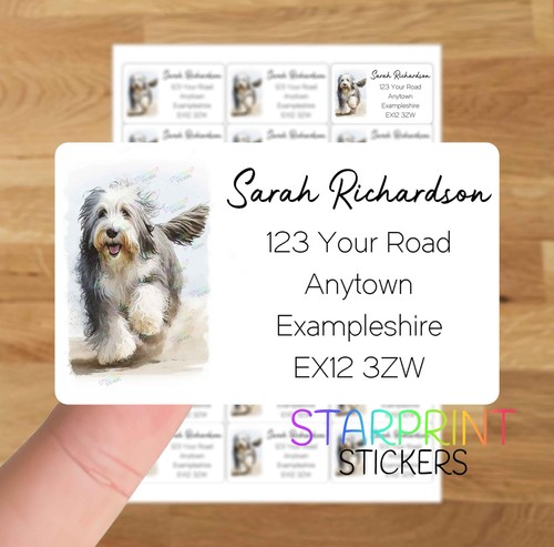 Bearded collie beach dog - collie,