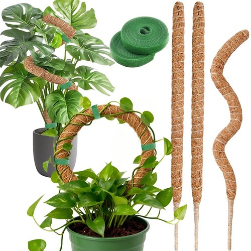 Bendable moss pole - moss,