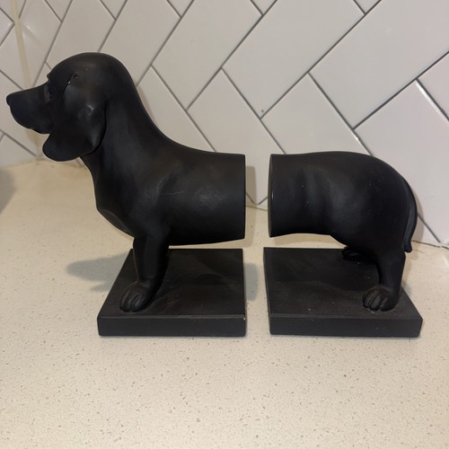 Dachshund dog art - dachshund, 8"