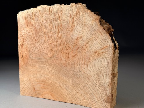 Spalted burr elm live - elm, edge