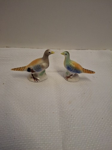 Pair miniature pheasants - miniature,