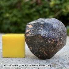 RARE: Australite Tektite