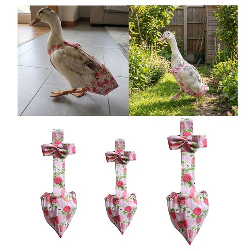 Duck diaper adjustable pet - adjustable,