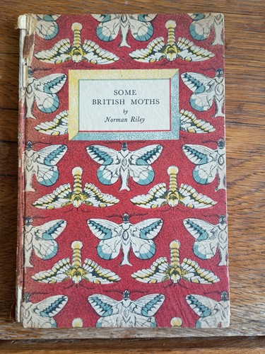 Some british moths - moths, norman