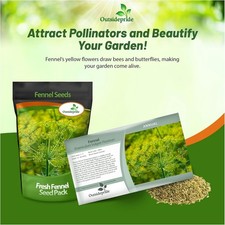 1 LB Fennel Seeds - Florence