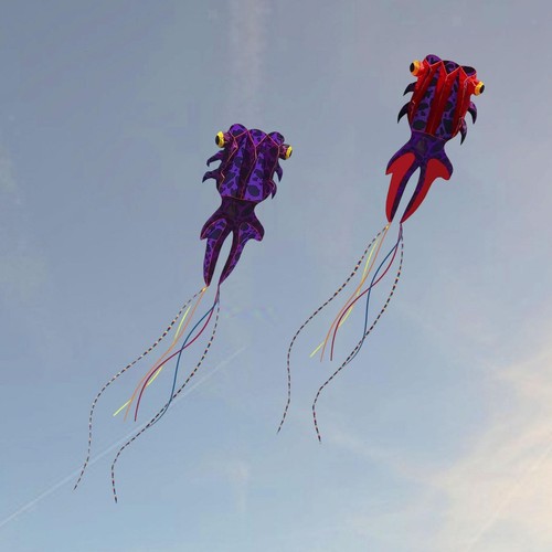 Fish large kite - large,