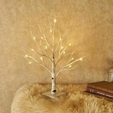 2FT Birch Light Tree Indoor