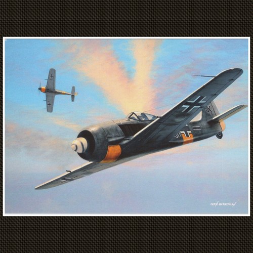 Fw190 aviation art - fw190,