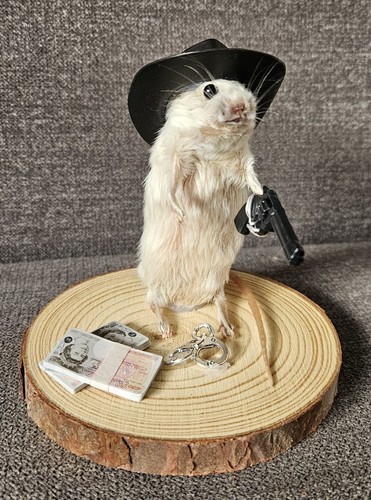 Bad taxidermy cowboy - bad,