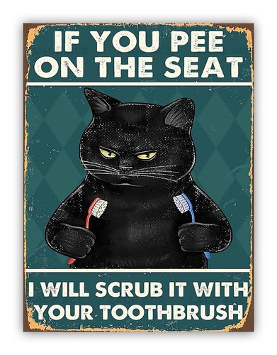 Funny cat pee the - cat, seat