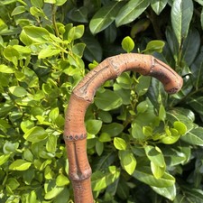 Antique Whangee Bamboo Walking