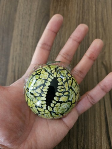 Jurassic park velociraptor eye - park,