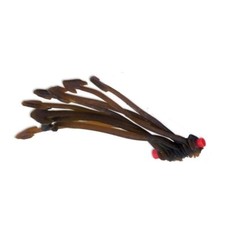 Pole Winder Elastic  Anchors