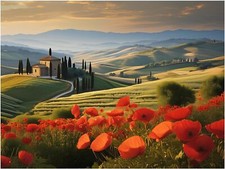Tile Mural Poppy Field Tuscan