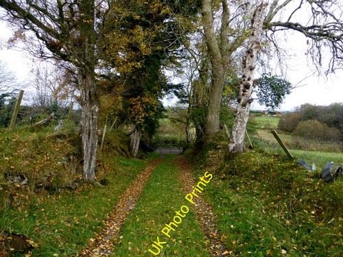 Photo 6x4 short lane - a, lane,