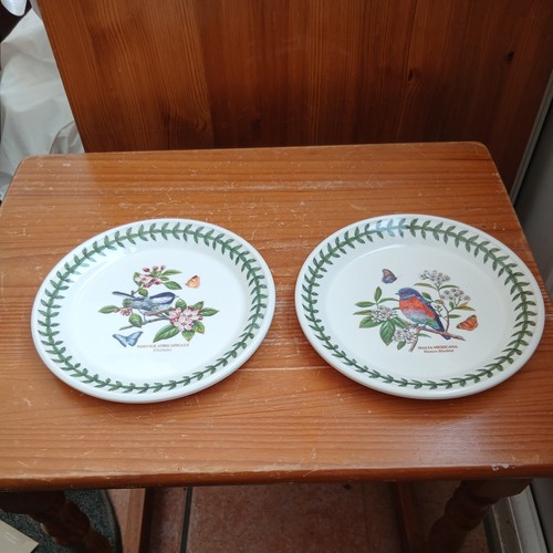 Portmeirion botanic birds - portmeirion, tea