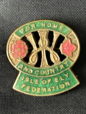 Very rare WW11 WI enamel badge